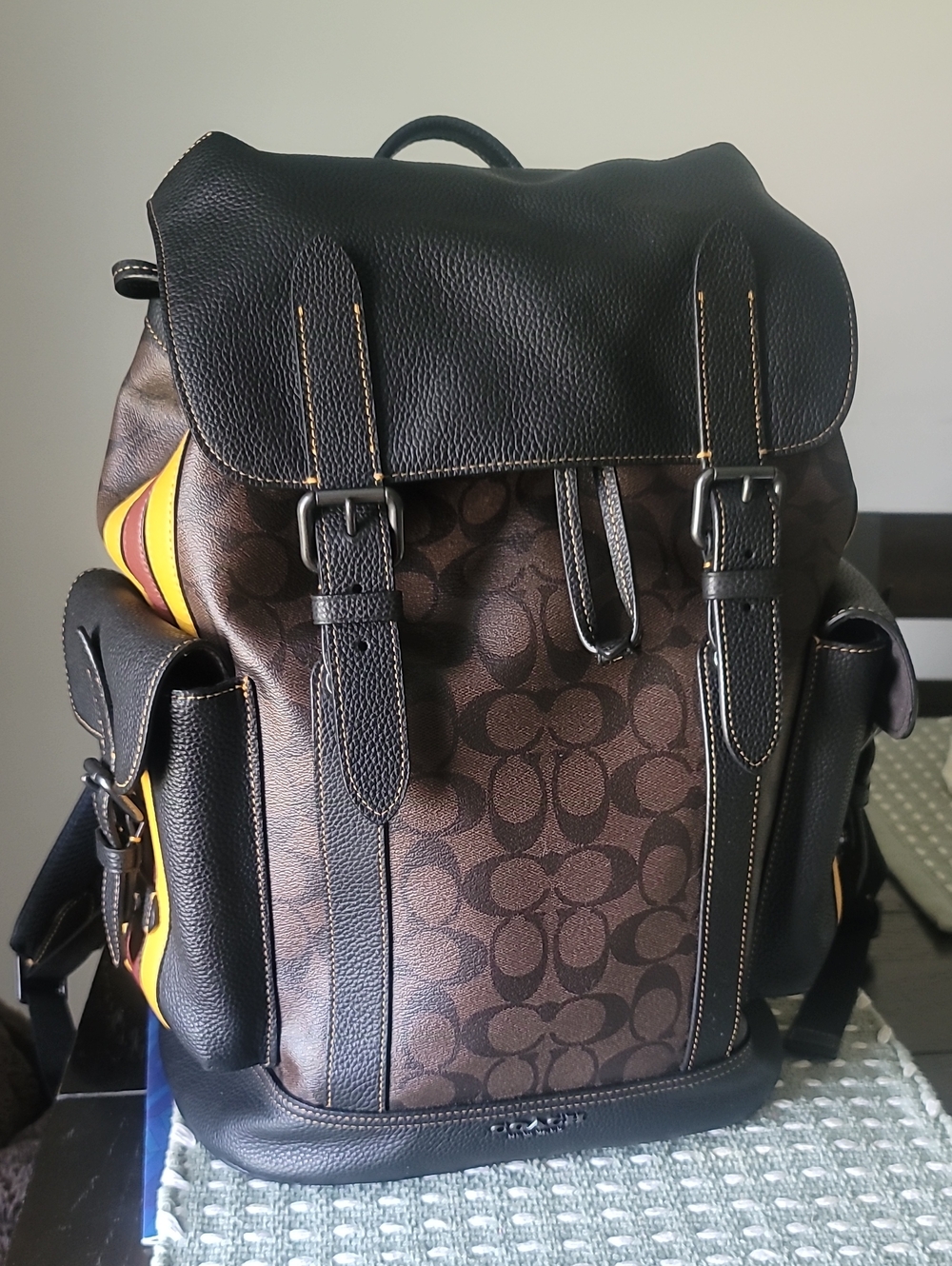 Coach Men’s Hudson Signature Leather Backpack with Varsity Stripes